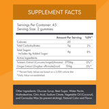 Turmeric & Ginger Gummies - Daily Wellness with Curcumin